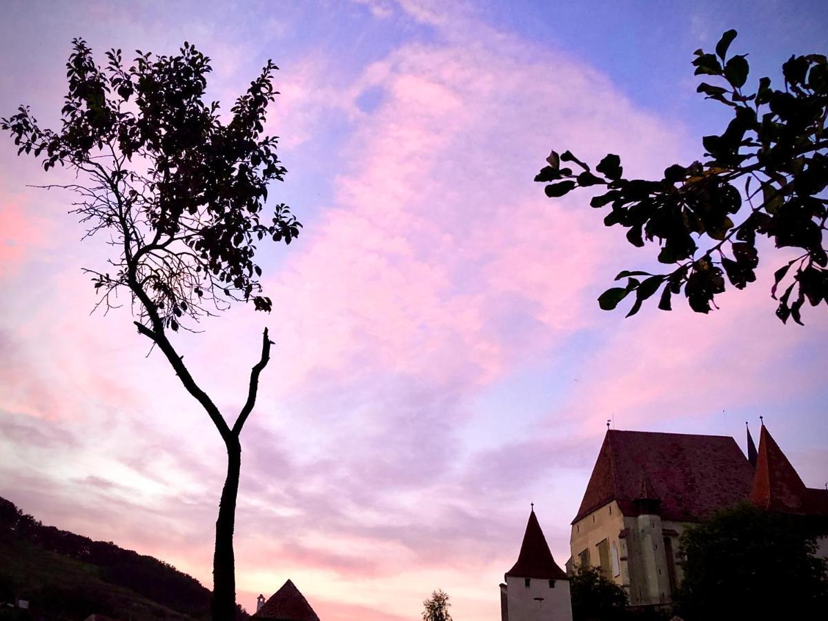 Casa Eva Wagner - Biertan Hotel Ngoại thất bức ảnh